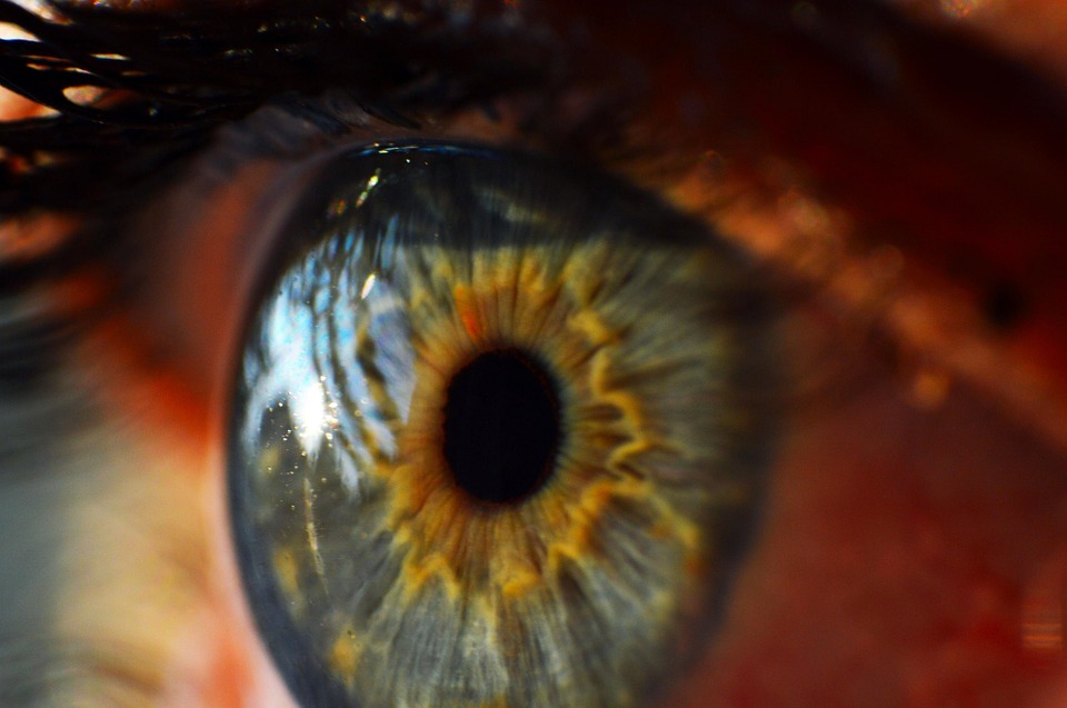 COOOCtel sobre Farmaco-vigilància ocular i atenció visual