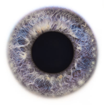 La FOOT acull les VIII Jornades de Contactologia per a professionals